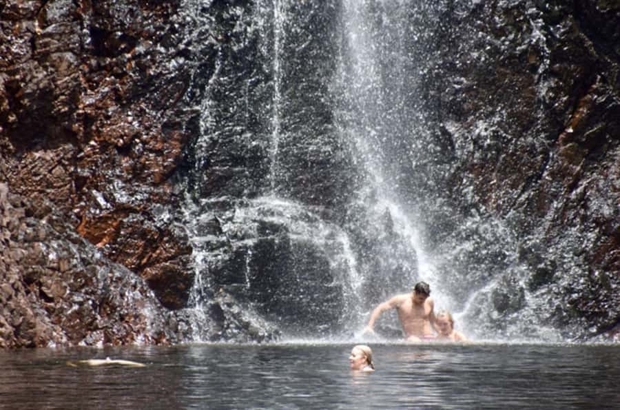 Darwin: Litchfield, Crocodile Cruise and Sunset Tour - Darwin to Litchfield: why this day feels perfectly timed