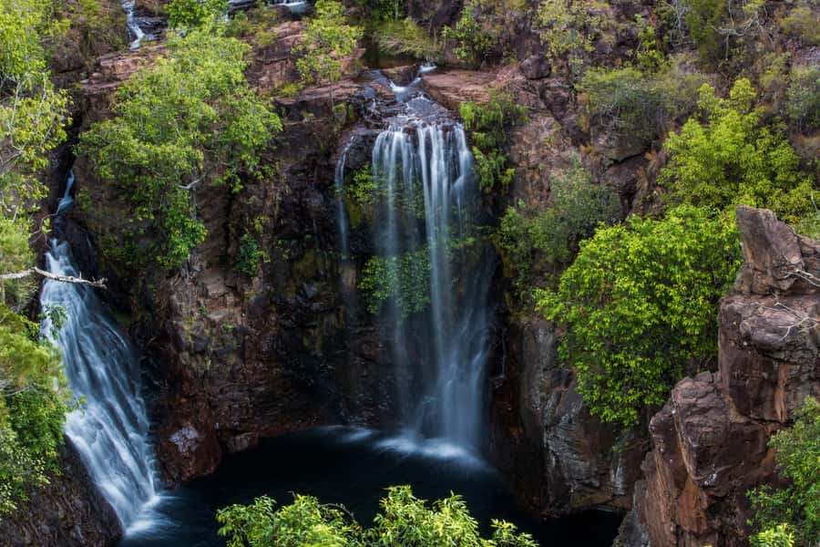 Darwin: Litchfield National Park Waterfalls & Wildlife Tour - Quick hits for this Darwin to Litchfield day