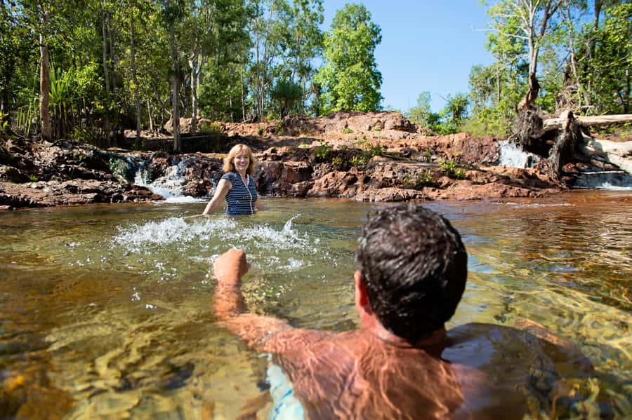 Darwin: Litchfield National Park Waterfalls & Wildlife Tour - Who should book this Litchfield day tour
