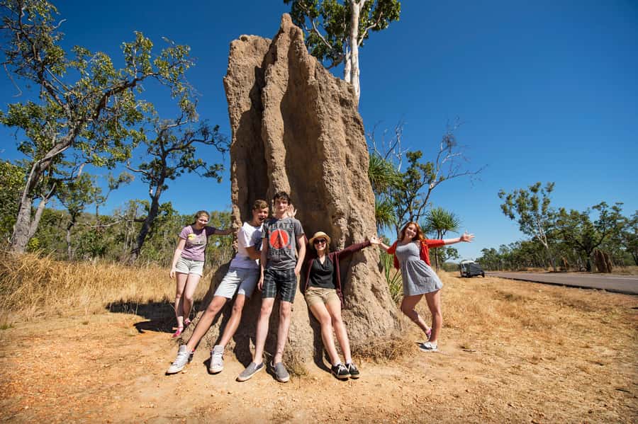 Darwin: Litchfield National Park Waterfalls & Wildlife Tour - Adelaide River jumping crocs, optional but often the day’s punch