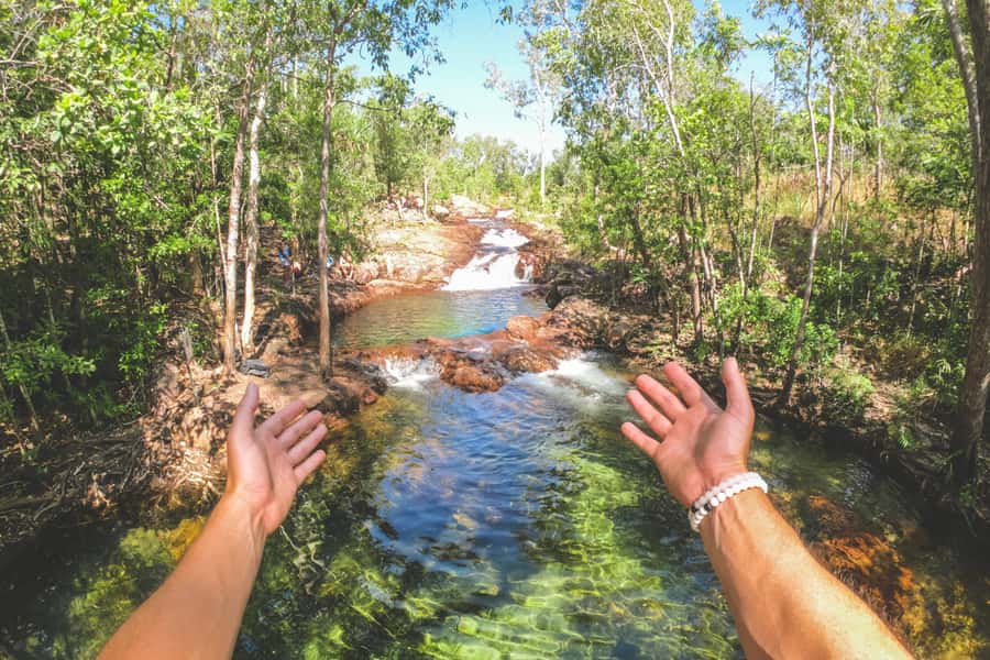 Darwin: Litchfield National Park Waterfalls & Wildlife Tour - Fogg Dam Conservation Reserve, wetlands wildlife in a calmer setting