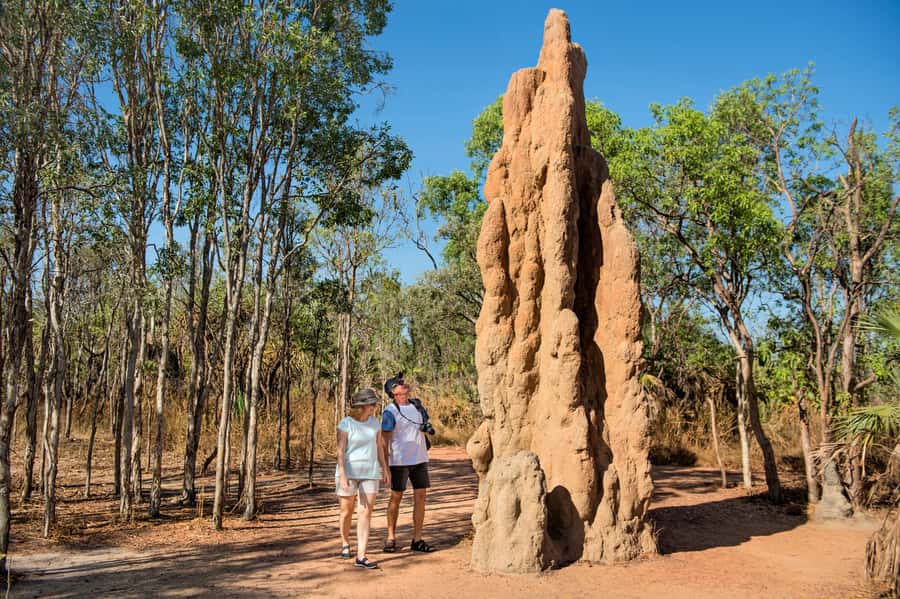 Darwin: Litchfield National Park Waterfalls & Wildlife Tour - Batchelor break time and Darwin River Tavern reset