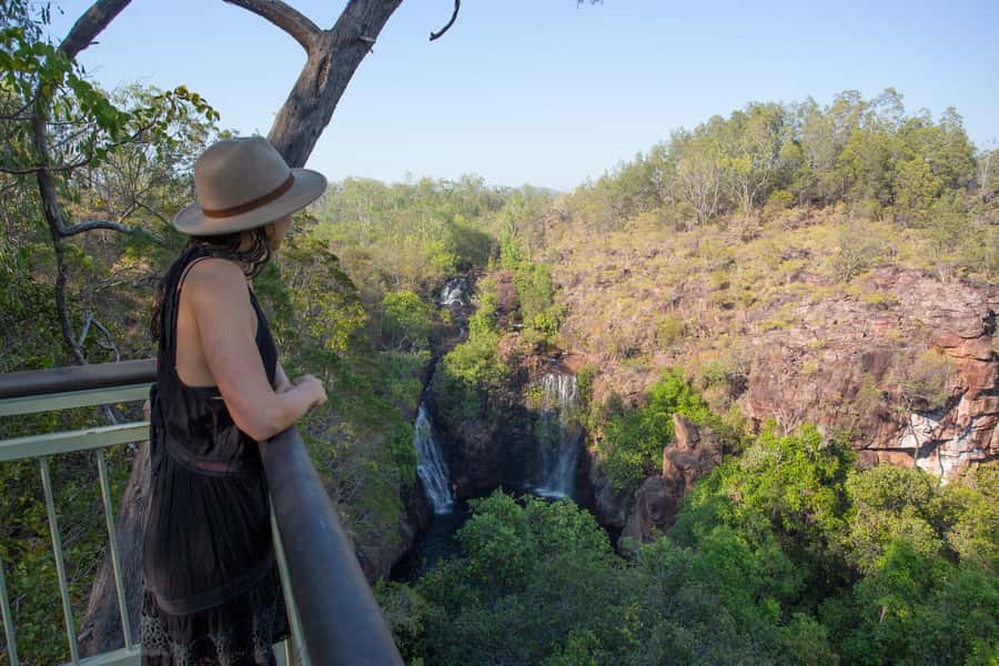 Darwin: Litchfield National Park Waterfalls & Wildlife Tour - Price and value: what $113 buys, and what you must plan for