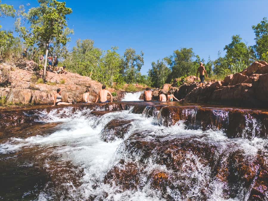Darwin: Litchfield National Park Waterfalls & Wildlife Tour - Magnetic Termite Mounds, the Top End’s weird and wonderful engineering