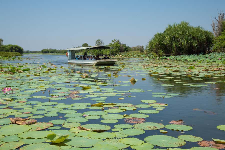Darwin: Mary River Wetlands Wildlife Cruise with Lunch - Key things that make this tour worth your day