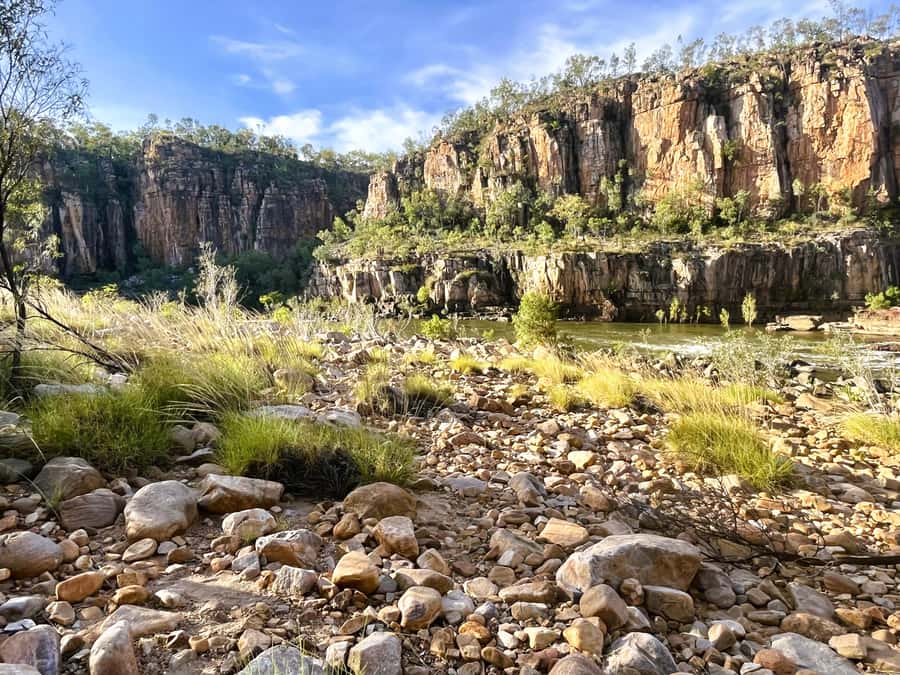Darwin: Nitmiluk Edith Falls Tour & Katherine Gorge Cruise - The Coach Day Between Stops: Comfort Details That Matter
