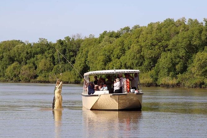 Darwin: Pathfinder Original Jumping Crocodile Cruise - Key highlights that make this cruise worth your time