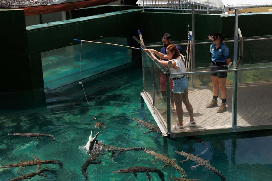 Darwin: VIP Crocosaurus Cove Experience - What makes this VIP tour special