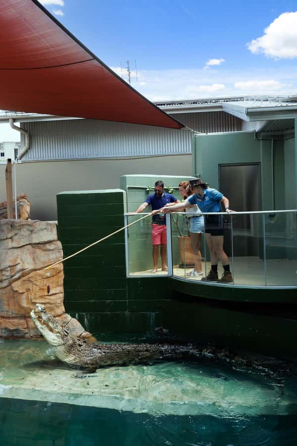 Darwin: VIP Crocosaurus Cove Experience - VIP Crocosaurus Cove Access, and Why the “Behind-The-Scenes” Part Matters