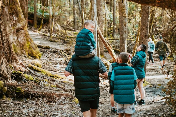 Day Tour in Mt. Field, Mt. Wellington, Bonorong Wildlife Sanctuary and Richmond - How This Hobart Day Trip Knocks Out Four Big Areas