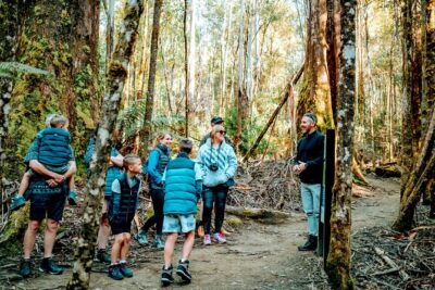 Day Tour in Mt. Field, Mt. Wellington, Bonorong Wildlife Sanctuary and Richmond