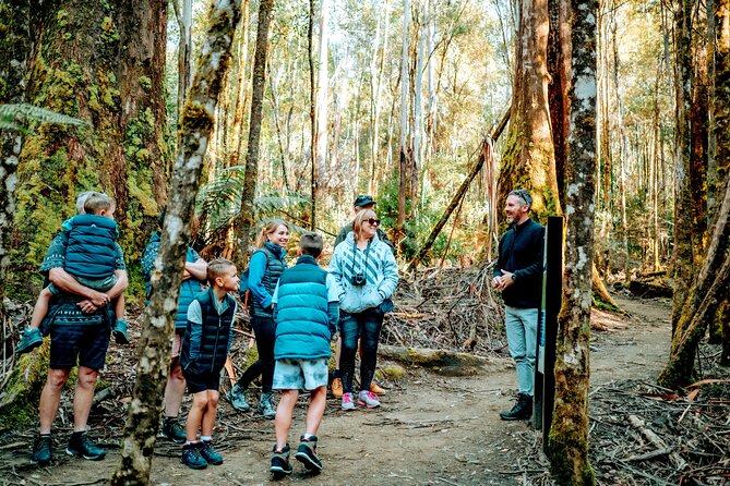 Day Tour in Mt. Field, Mt. Wellington, Bonorong Wildlife Sanctuary and Richmond - Mt Field and Russell Falls: Rainforest Steps to a Classic Waterfall