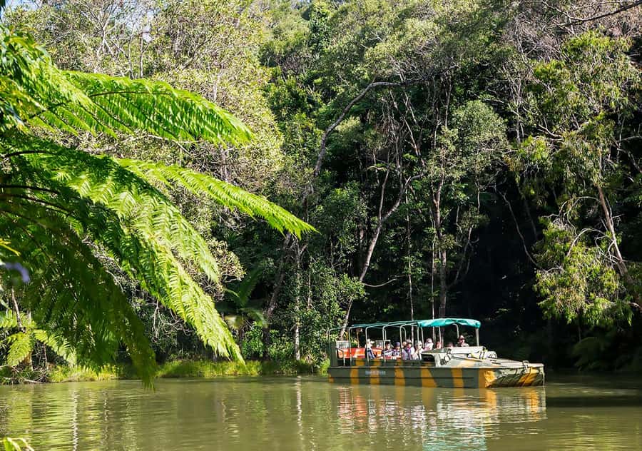 Day Trip: Rainforest & Aboriginal Culture Tour - World War II Army Duck: the rainforest transport that does the heavy lifting
