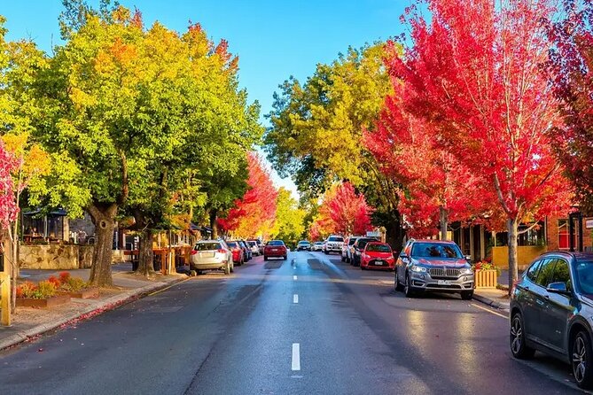 Discover Charms of Hahndorf & Hills (Full Day Tour) - Hahndorf has the long stay, and that’s the point