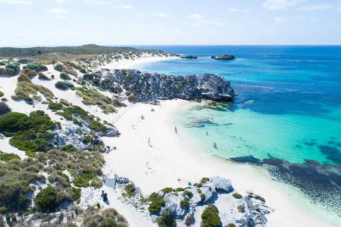 Discover Rottnest with Ferry & Bus Tour - Key things to know before you go