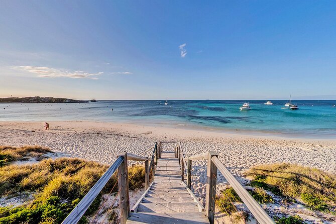 Discover Rottnest with Ferry & Bus Tour - Thompson Bay time: your freedom to bike, swim, and hunt for quokkas