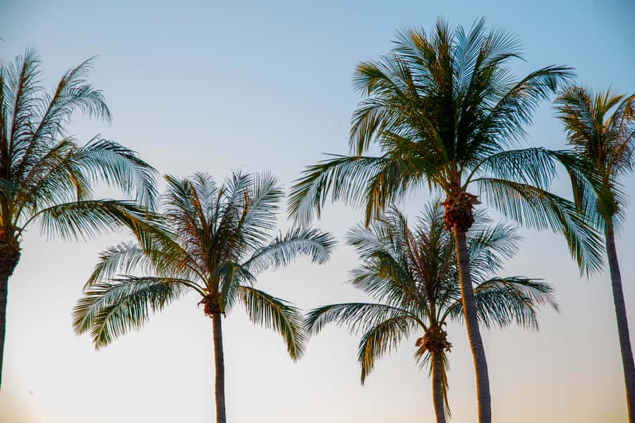 Discover the City of Darwin: Half-Day City Coach Tour - Your Driver-Guide Makes the Difference, Especially When They Call Out What Matters