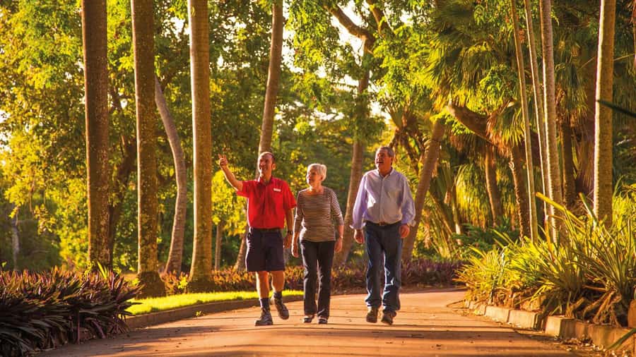 Discover the City of Darwin: Half-Day City Coach Tour - Darwin Botanic Gardens and Chinese Temple, Two Views of Survival and Culture