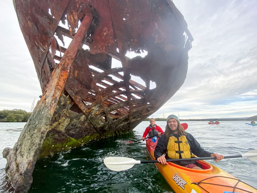 Dolphin Sanctuary and Ships Graveyard Kayak Tour - The guide experience: pacing, safety, and stories