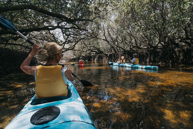 Dolphin Sanctuary Kayak Tour Adelaide - Entering Adelaide’s Dolphin Sanctuary from Garden Island