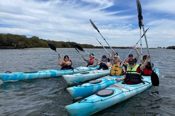 Dolphin Sanctuary Kayak Tour Adelaide - Mangrove creeks and wildlife spotting, with dolphins as the main character