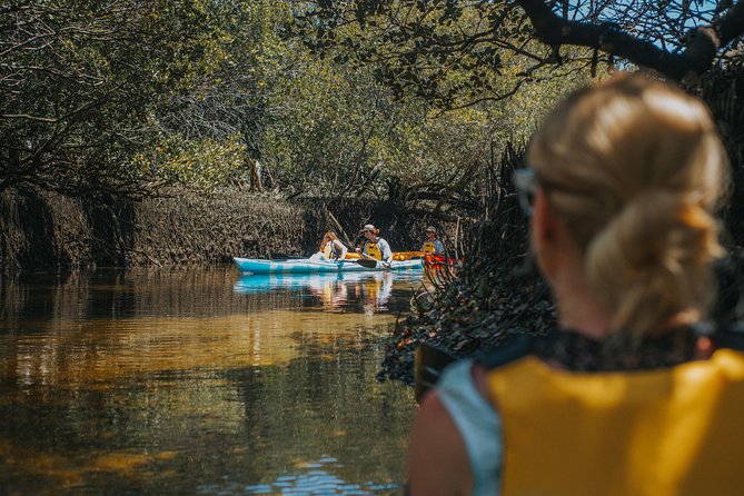 Dolphin Sanctuary Kayak Tour Adelaide - Shipwrecks, tides, and why the route can shift