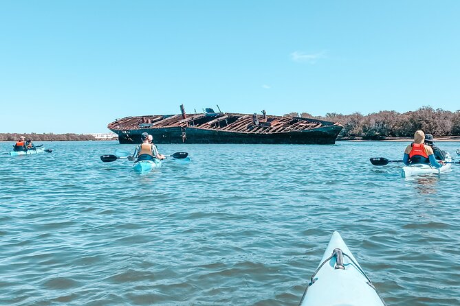 Dolphin Sanctuary Kayak Tour Adelaide - Guides, group size, and the feel of personalized attention