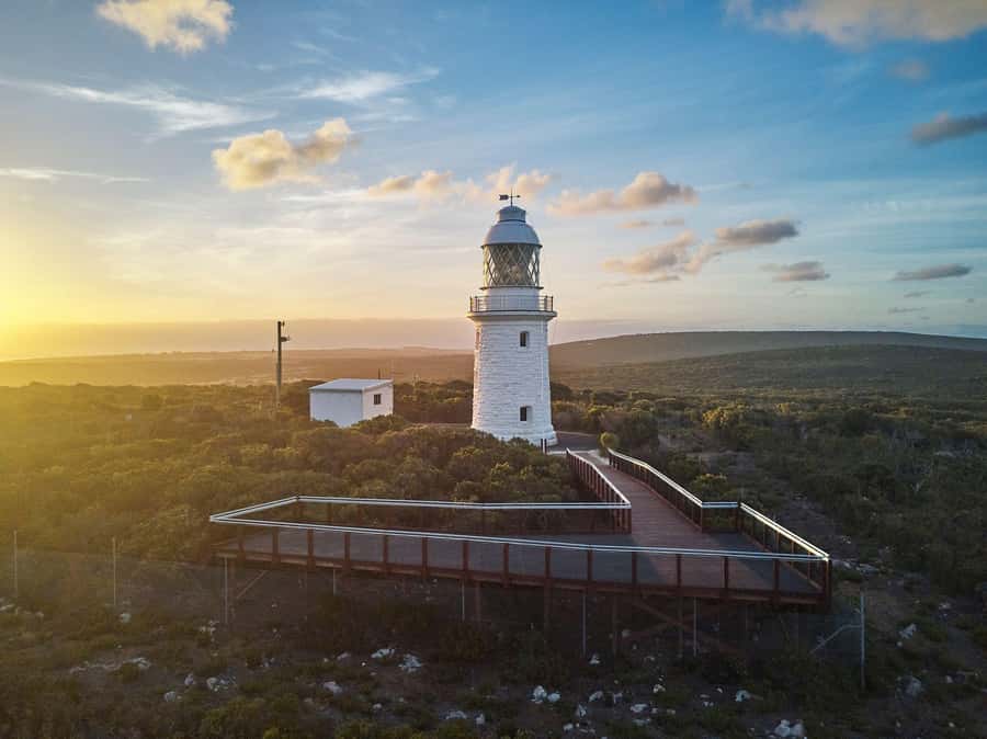 Dunsborough: Cape Naturaliste Lighthouse Guided Tour - How the 30-minute guided tour works, and what your guide focuses on