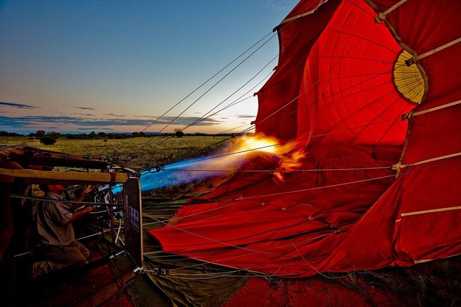 Early Morning Ballooning in Alice Springs - Wildlife spotting in the basket: aiming your eyes for Red Kangaroos and more