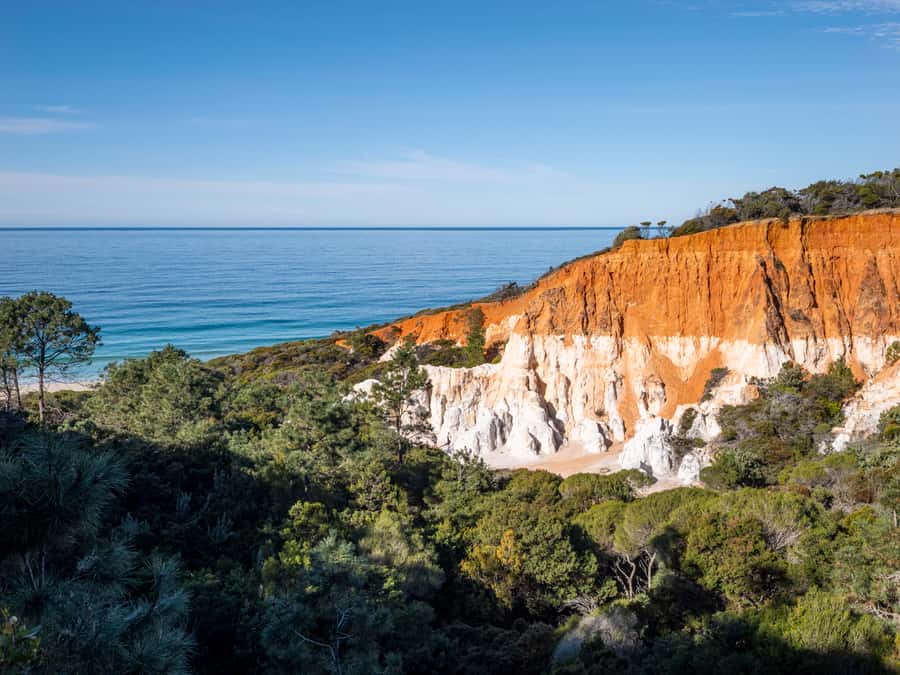 Eden: 2-Hour Highlights Tour, Nature, Beaches and Lookouts - Stop 1, Eden Rotary Park and Twofold Bay Wildlife Season