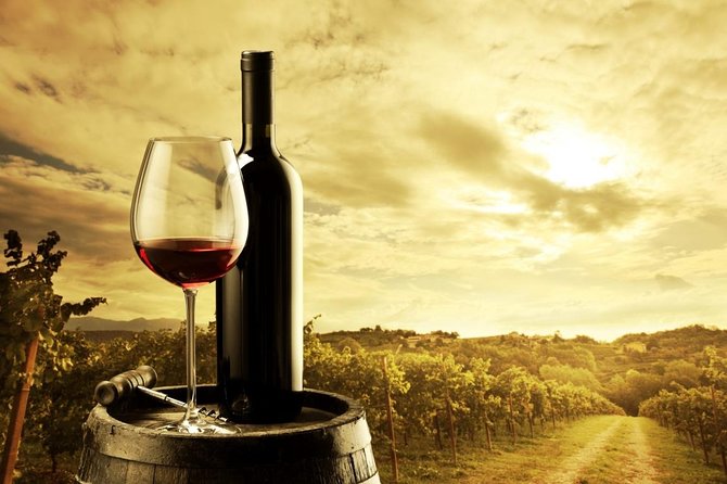 Elderton Elite Tasting Experience - Cheese pairing: why it matters more than you think