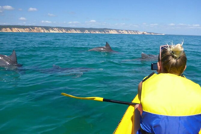 Epic Kayak With Dolphins & Wildlife - 4WD Beach Adventure Noosa - Key highlights you should care about