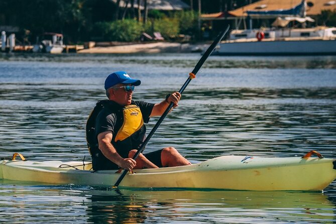Epic Kayak With Dolphins & Wildlife - 4WD Beach Adventure Noosa - Wildlife spotting: dolphins, whales, turtles, rays, and the rest of the food chain