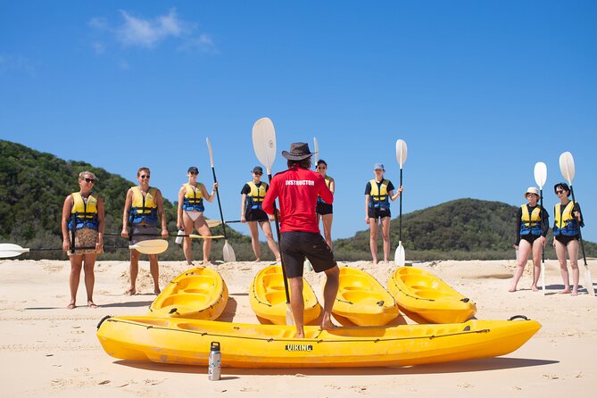 Epic Kayak With Dolphins & Wildlife - 4WD Beach Adventure Noosa - Price and value at about $115.48 per person