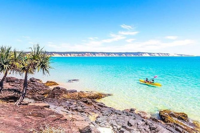 Epic Kayak With Dolphins & Wildlife - 4WD Beach Adventure Noosa - Who should book this Noosa kayak-and-4WD adventure