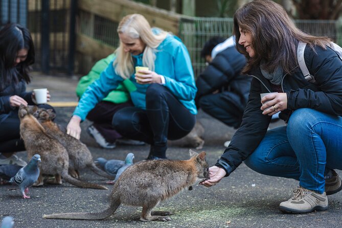 Exclusive Blue Mountains Wildlife and Bushwalk Tour From Sydney - Morning pickup in Sydney: why the 7:00 am start matters