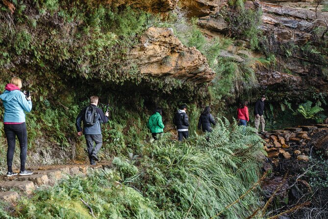 Exclusive Blue Mountains Wildlife and Bushwalk Tour From Sydney - Blue Mountains National Park highlights: Three Sisters and Echo Point views
