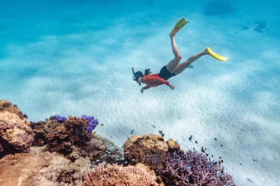Exmouth: Guided Ningaloo Reef Snorkel Adventure - Turquoise Bay snorkeling: where your guide earns their pay