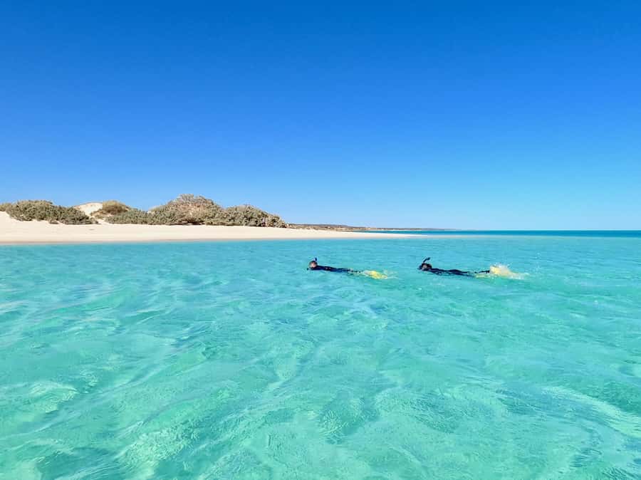 Exmouth: Guided Ningaloo Reef Snorkel Adventure - Oyster Stacks or Lakeside, chosen for tide