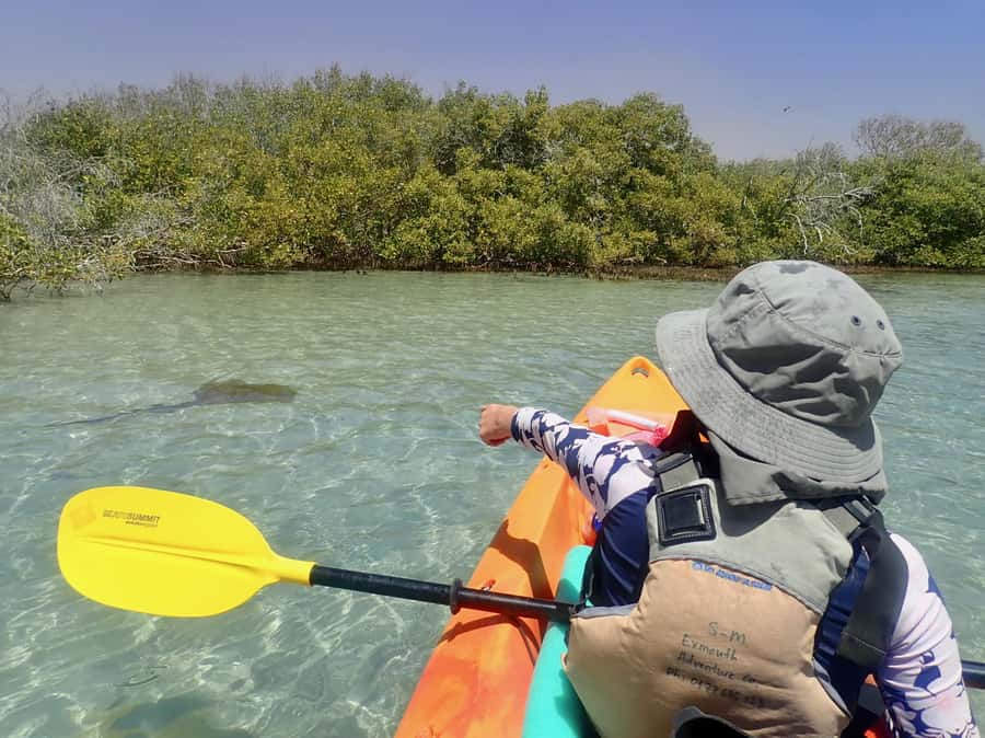 Exmouth: Half Day Turtle Kayak & Snorkel Tour - Bundegi Sanctuary Zone: why this part of Ningaloo works so well