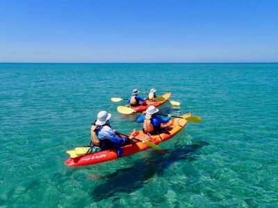 Exmouth: Half Day Turtle Kayak & Snorkel Tour