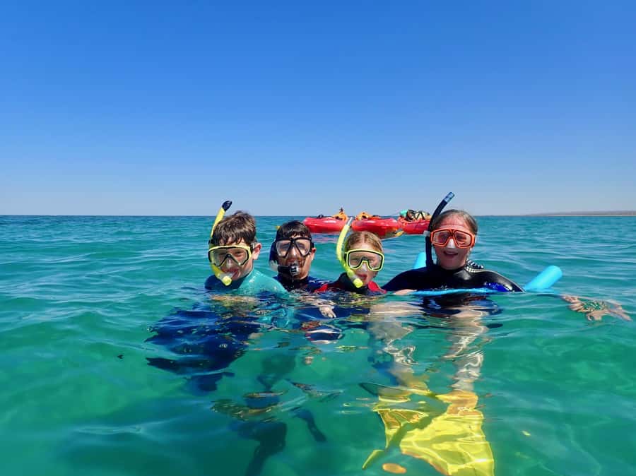 Exmouth: Half Day Turtle Kayak & Snorkel Tour - Kayak-only moorings snorkel: coral gardens with less hassle