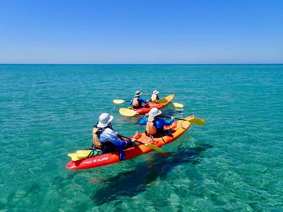Exmouth: Half Day Turtle Kayak & Snorkel Tour - Gear and sun protection: included, and genuinely useful