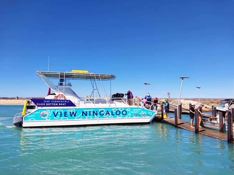 Exmouth: Ningaloo Semi-Submersible Glass Bottom Boat Tour - Inside the SubSea Explorer: what the 16 windows change