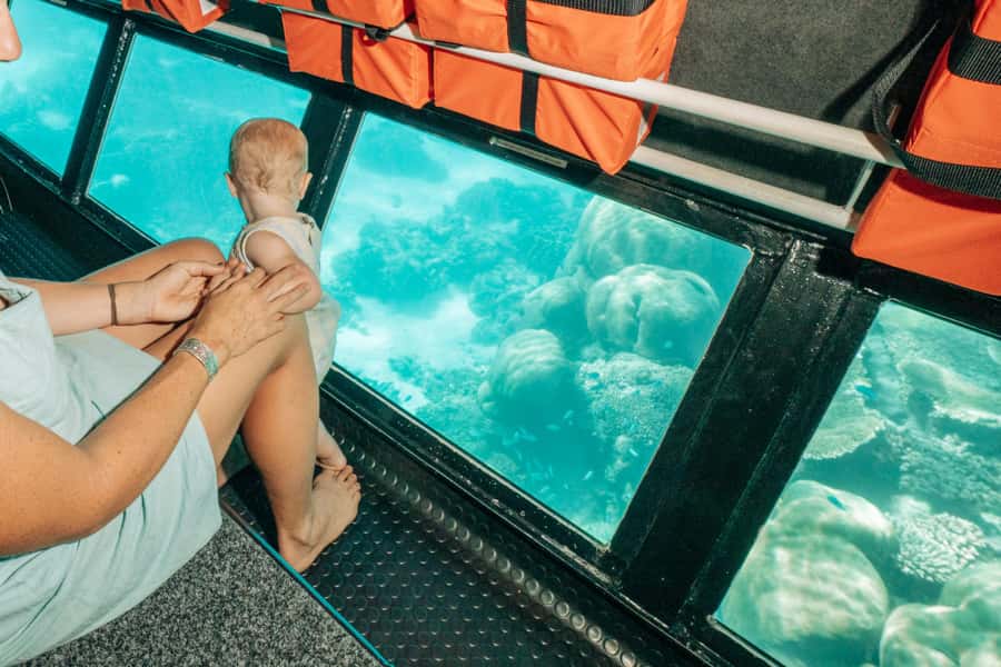 Exmouth: Ningaloo Semi-Submersible Glass Bottom Boat Tour - Marine biologists on board, and why their commentary helps
