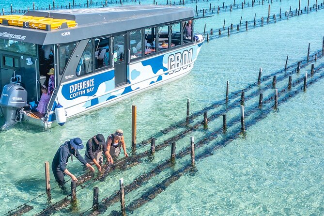 Experience Coffin Bay Oyster Farm and Bay Tour - Key highlights that make this tour worth your time