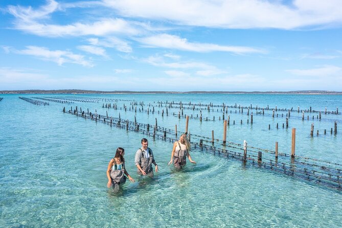 Experience Coffin Bay Oyster Farm and Bay Tour - Getting to Coffin Bay Yacht Club Jetty and settling in fast