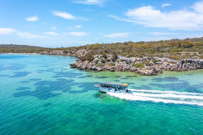 Experience Coffin Bay Oyster Farm and Bay Tour - The dozen oysters: meal details, timing, and how to get the most from it