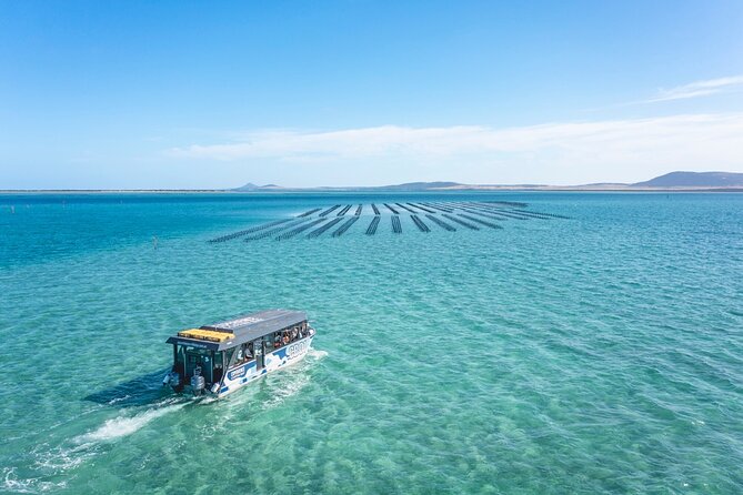 Experience Coffin Bay Oyster Farm and Bay Tour - Brothers Islands at the end: seals, and the possible dolphins bonus