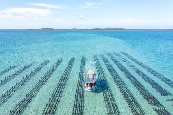 Experience Coffin Bay Oyster Farm and Bay Tour - Price and value: is $132.69 per person fair?